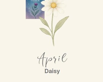Stampa di fiori di margherita per la nascita di aprile: arte botanica ad acquerello (download digitale)