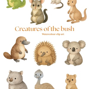 Geschöpfe des Busches | Skurrile Aquarell Clip Art | Magische Tiere PNG