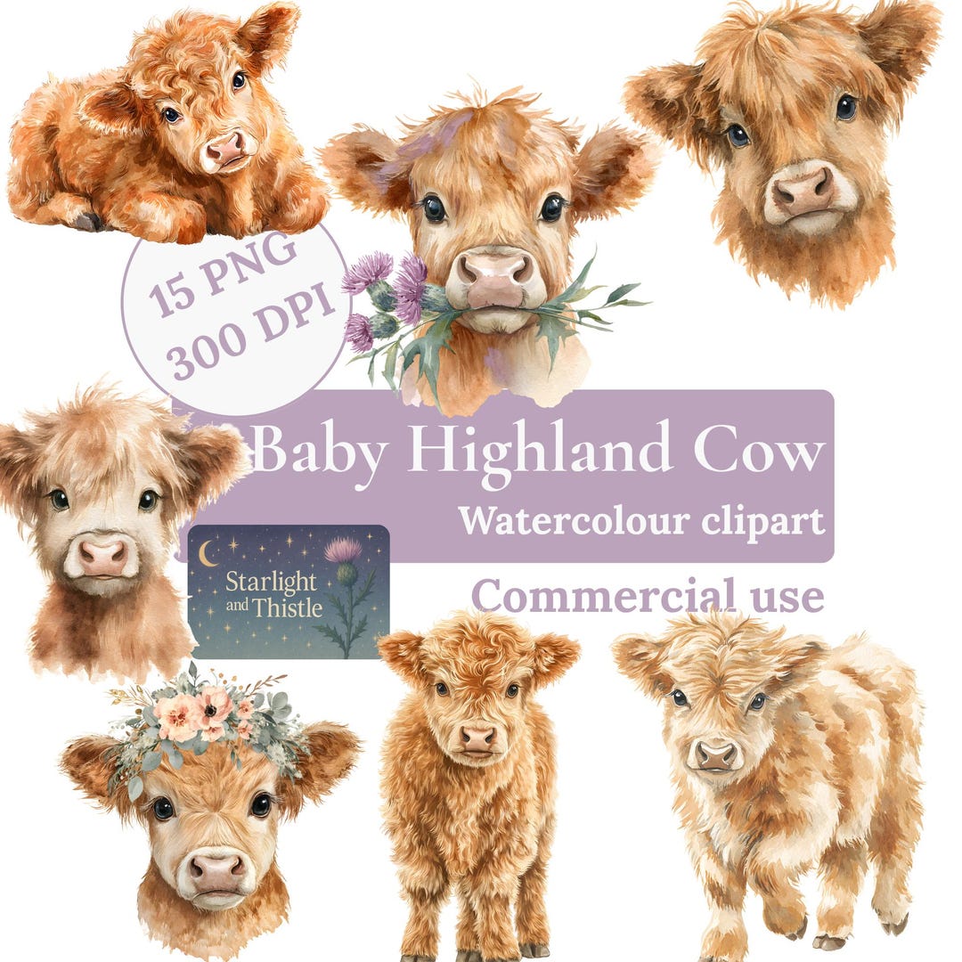 Baby Highland Cow Watercolor Clipart, Boho Farm Animals PNG, Floral ...
