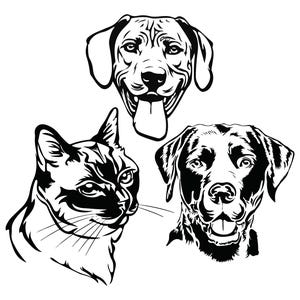 May include: Black and white line art illustrations of a cat, a Labrador Retriever, and a dog with floppy ears. The animals are facing forward and have their tongues sticking out.