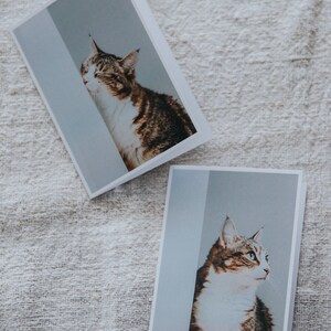 Professional Standard Greeting Card