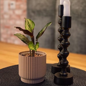 Puede incluir: Una pequeña planta en maceta con hojas a rayas verdes y blancas y partes inferiores de color rojo oscuro se encuentra en una maceta beige y acanalada. Dos candelabros negros con velas blancas están en el fondo. Los artículos están sobre una alfombra negra.