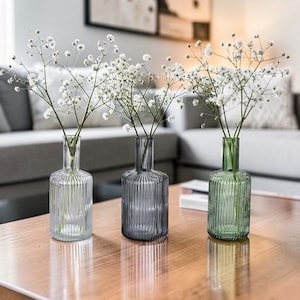 Unique Glass Vase, Ribbed Glass Vase, Colored Vase Glass, Clear Glass Vase, Smoke Glass Vase, Grean Clear Glass Vase, Glass Flower Vase