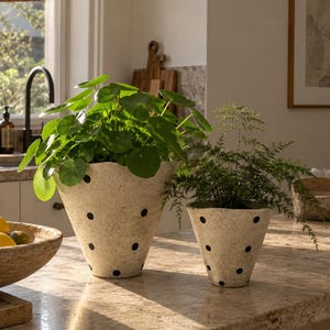 Speckled Ceramic Planter Pot, Handmade Polka Dot Plant Pot, Neutral Home Decor, Minimalist Indoor Planter