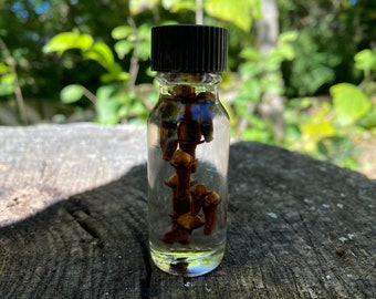 CLOVE Essential Oil Dilute Protection Love Money Attraction Banish Binding Clairvoyance Divination Healing Sex Magic Relationships Success