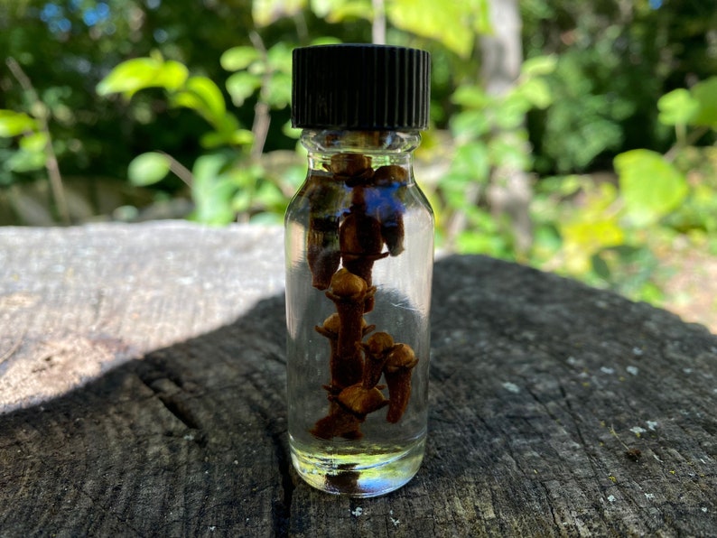 CLOVE Essential Oil Dilute Protection Love Money Attraction Banish Binding Clairvoyance Divination Healing Sex Magic Relationships Success zdjęcie 1