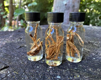Devils Shoestring Oil, Protection, Locating A Job, Break Bad Luck, Hoodoo, Witch, Wiccan, Pagan, Business Protection, Stop Gossip