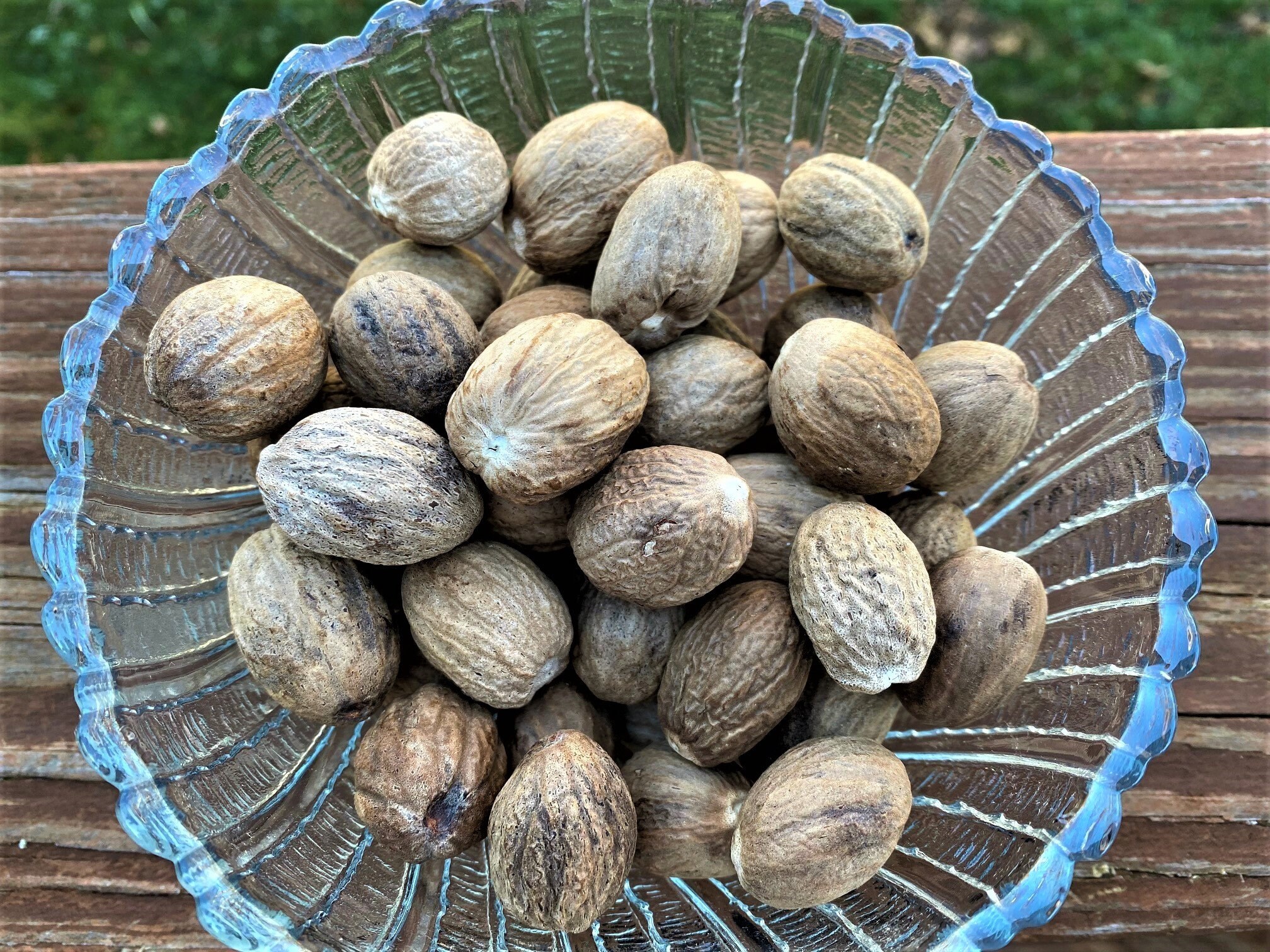 Nutmeg 3 Whole Organic Kosher Fair Trade 3 Pcs Dried Etsy