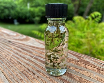 CATNIP Essential Oil Dilute, Bast, Cat Magick, Familiar, Witch, Wiccan, Pagan, Witchcraft, Hoodoo, Spells, Santeria, Brujeria, Magick