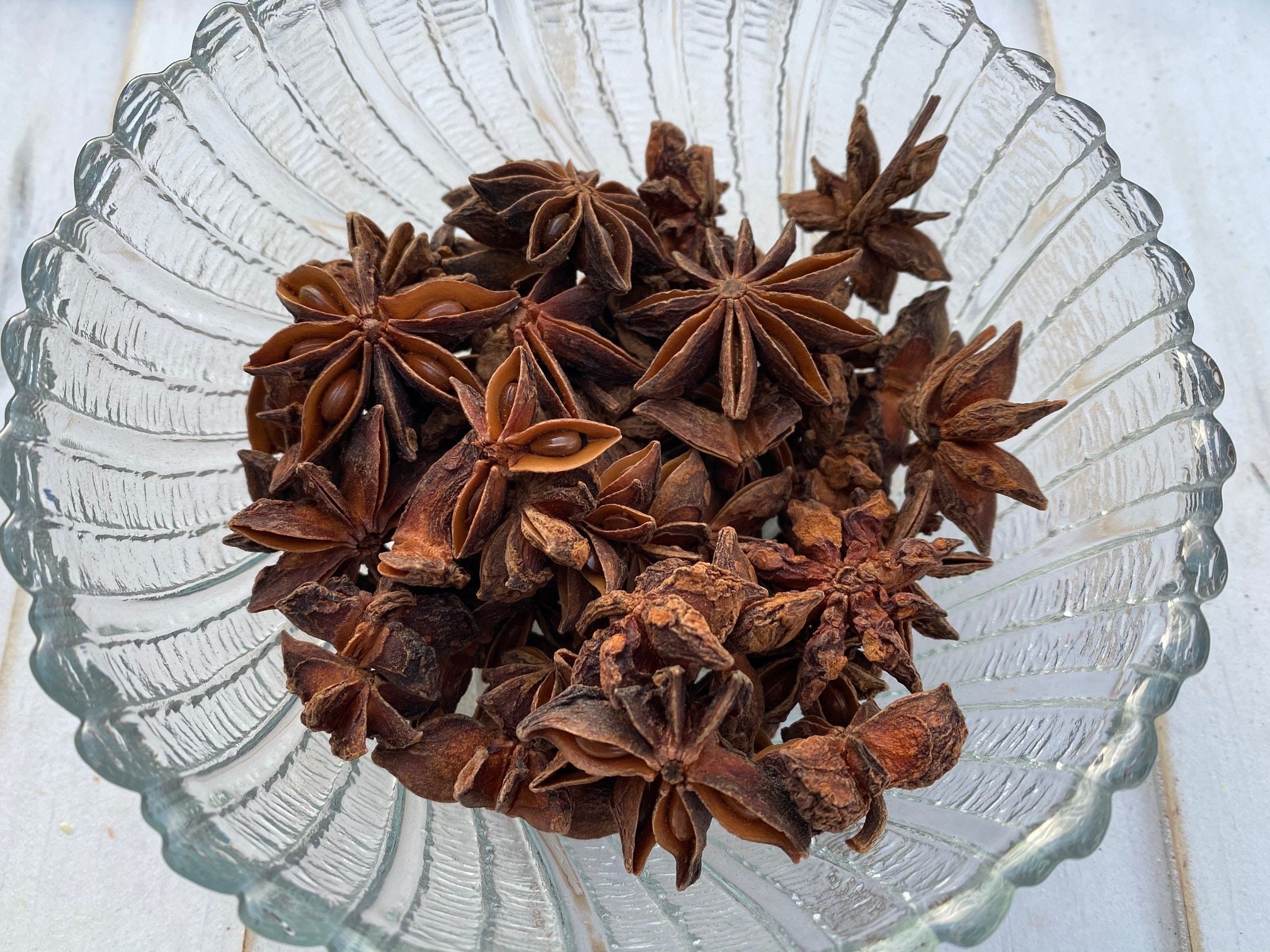 Star Anise Pods Organic 1 oz Illicium verum Dried Herb Etsy