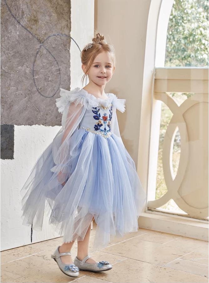 Elsa inspired dress, Frozen toddler dress, Elsa birthday dress, Princess dress, Elsa Girls Fancy Dress up, Gift for girls