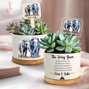 May include: Two white ceramic planters with succulents, featuring elephant illustrations and the text "14 Years Together" and "The Ivory Year." Each planter sits on a bamboo base. One has a wooden sign, the other a clear acrylic sign.