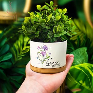 May include: A small, white ceramic planter with a floral design and the name "Laura" in script, holding a vibrant green plant. The planter sits on a round, wooden base. The text "AWESOME SINCE 1970" is also on the planter.