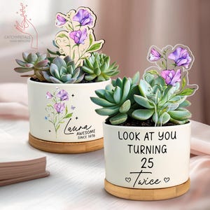 May include: Two white ceramic succulent planters with wooden bases. One planter has the name "Laura" and "AWESOME SINCE 1976" printed on it. The other planter says "LOOK AT YOU TURNING 25 Twice". Each planter has a wooden floral accent.