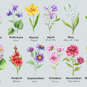May include: Watercolor illustration of twelve different flowers, each representing a month of the year. Includes Carnation, Violet, Daffodil, Sweet Pea, Lily of the Valley, Honeysuckle, Waterlily, Gladiolus, Aster, Cosmos, Chrysanthemum, and Narcissus.