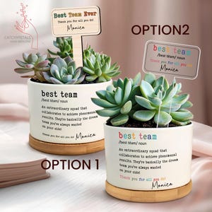 Thank You Team Gift, Best Team Plant Pot, Team Leader Gift, Corporate Gift, Team Appreciation, Coworker Gift, Employee Thank You Gifts