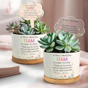 Team Gift, Team Appreciation Plant Pot, Team Thank You Gift, Coworker Gifts, Employee Appreciation, Custom Team Gift, Gift for a Team