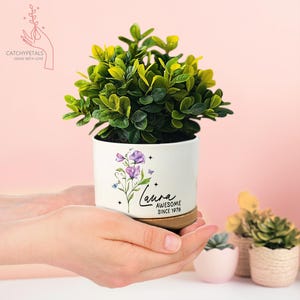 May include: A white ceramic planter with a floral design and the name "Laura" with "Awesome Since 1976" printed on it. The planter holds a green plant and sits on a wooden base. The image also includes other small plants.