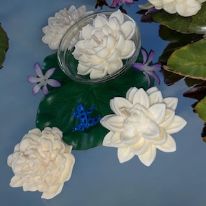 Seerosenblatt 4 Stück Lotus Blume Herzstück