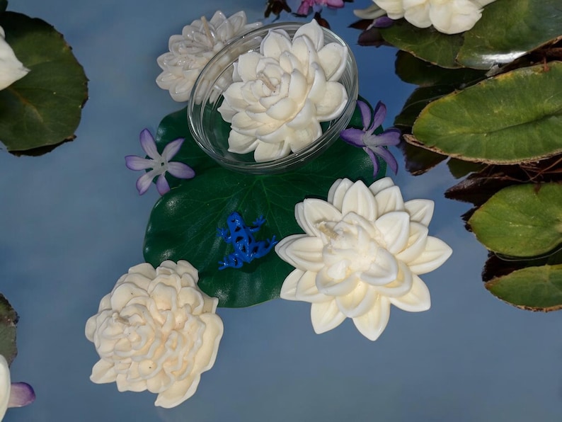 May include: White lotus flower candles floating in a blue water bowl with green leaves and a blue frog figurine.