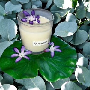 Vela perfumada de espíritu limpio