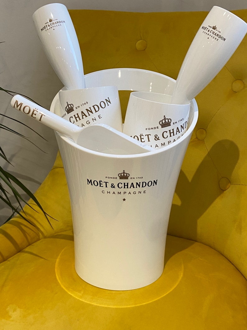 Moet & Chandon Champagne Ice Bucket and Flutes Party Set 18pcs Etsy