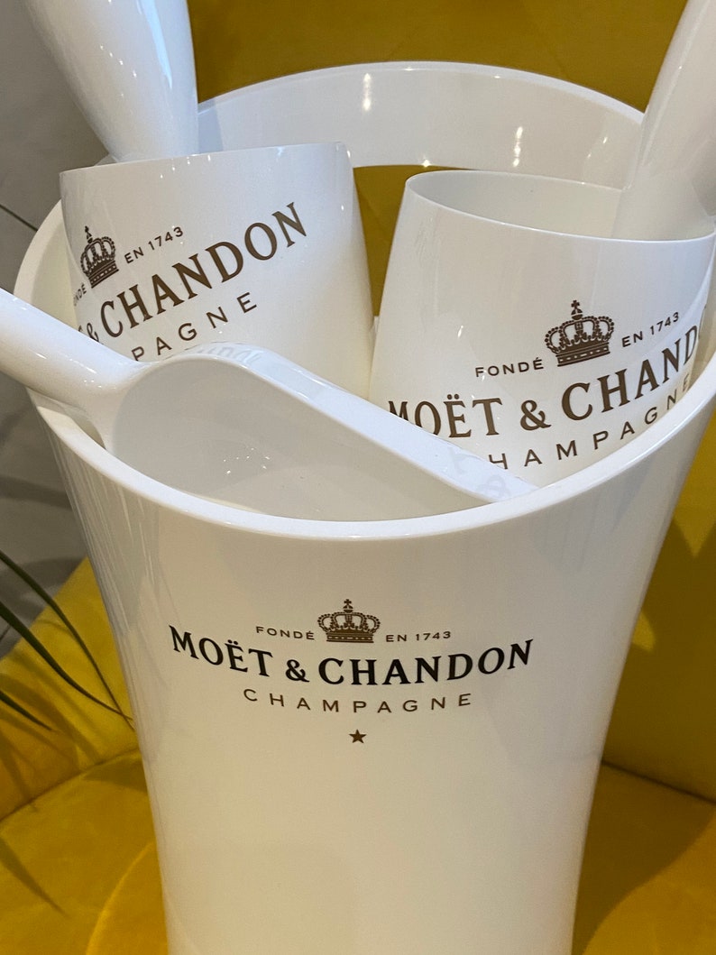 Moet & Chandon Champagne Ice Bucket and Flutes Party Set 18pcs Etsy
