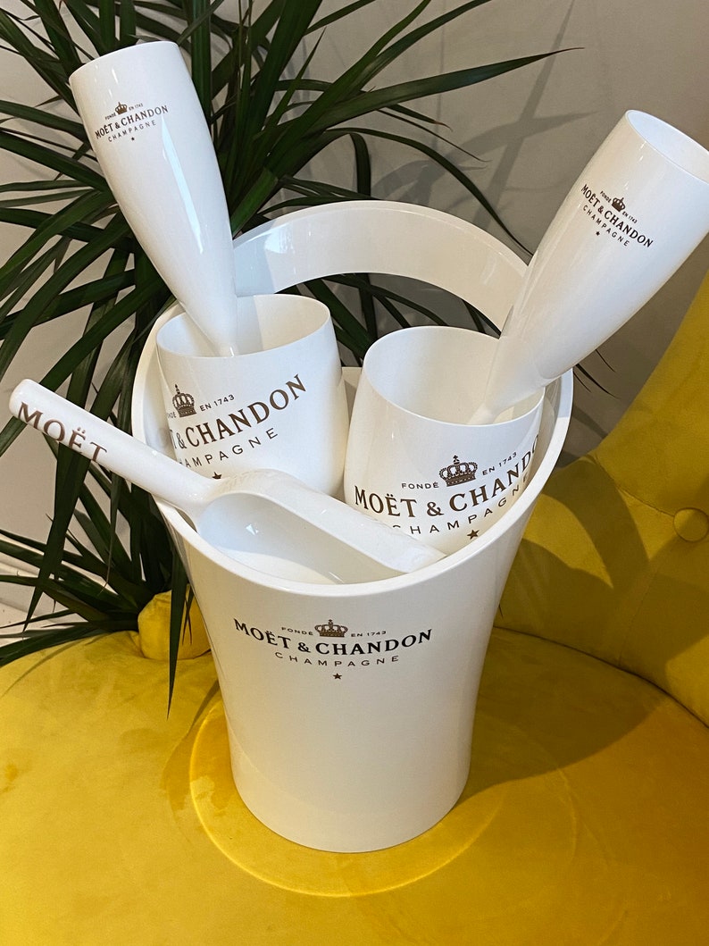 Moet & Chandon Champagne Ice Bucket and Flutes Party Set 18pcs Etsy
