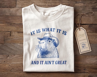 It Is What It Is And It Is Not Great Vintage - Meme Shirt, T Shirt, Funny, Raccoon, Meme, Cartoon Tee Shirt, Retro Tee, Fun Gift
