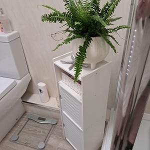May include: A white, narrow storage cabinet with two doors and a shelf, holding a fern in a white pot. A starfish decorates the shelf. A scale and a toilet are visible in the background.