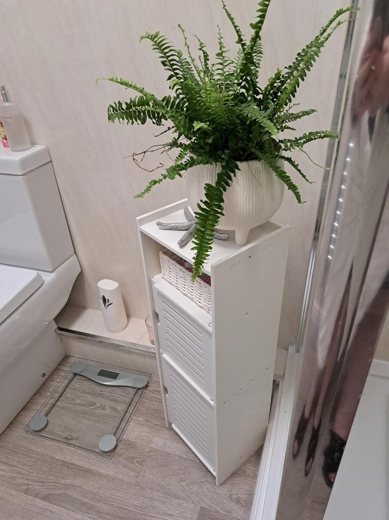 May include: A white, narrow storage cabinet with two doors and a shelf, holding a fern in a white pot. A starfish decorates the shelf. A scale and a toilet are visible in the background.