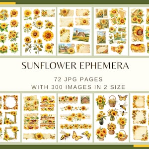 Pode incluir: Uma coleção de imagens de efemérides de girassóis, incluindo girassóis individuais, arranjos florais e molduras decorativas. O texto "SUNFLOWER EPHEMERA" é exibido acima dos detalhes: "72 PÁGINAS JPG COM 300 IMAGENS EM 2 TAMANHOS". As imagens são em tons de amarelo, verde e castanho.