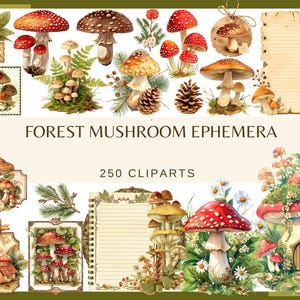 Puede incluir: Ilustración en acuarela de varias setas del bosque, incluyendo amanitas rojas y blancas. La imagen incluye el texto "FOREST MUSHROOM EPHEMERA" y "250 CLIPARTS". El estilo es vintage y caprichoso.