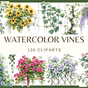 WATERCOLOR VINES - 130 clip arts (300 dpi, floral vine, png, bundle, digital, nature, monstera leaf, tree leaves, ivy Greenery Watercolor)