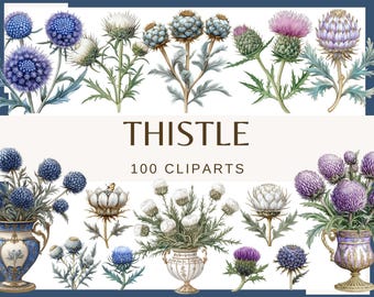 Clipart distelbloem: 100 bloemen-png's (commercieel gebruik)