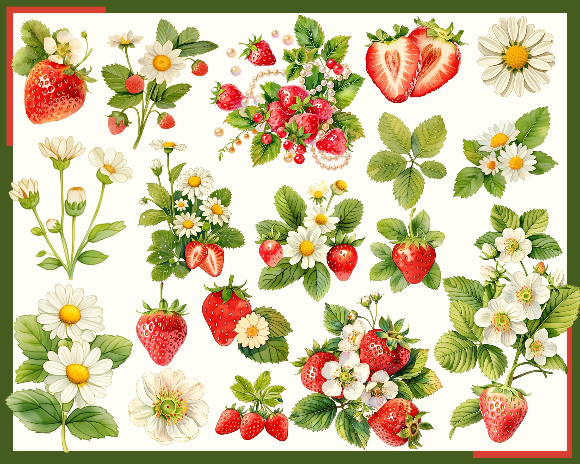 Daisy Raspberry Strawberry & Daisy Ephemera: 270 PNG, 300 DPI (every Image Separate on ...