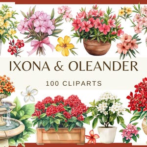 May include: A digital illustration of 100 clipart images of Ixona and Oleander flowers in various colors and arrangements. The flowers are depicted in pots, vases, and other decorative settings.