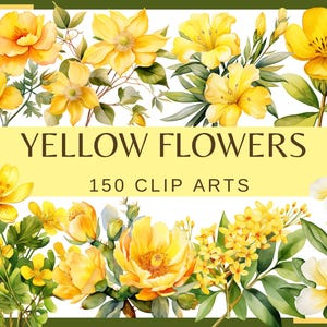 以下が含まれることがあります： 様々な種類の黄色い花を描いた水彩画のクリップアート画像150点のセットです。黄色いバナーに「YELLOW FLOWERS 150 CLIP ARTS」の文字が表示されています。