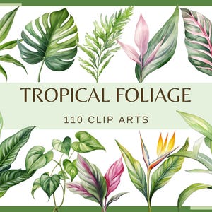 TROPISCH GEBLADERTE - 110 clip arts (300 dpi, bloemen, png, bundel, digitaal, natuur, monsterablad, boombladeren, groen aquarel)