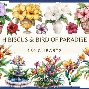 May include: A digital illustration set of 130 watercolor clipart images featuring hibiscus and bird of paradise flowers. The images include various colors and arrangements of the flowers, including pink, yellow, white, orange, and red.