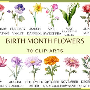 FLEURS DU MOIS DE NAISSANCE - 70 cliparts (300 dpi, usage commercial, lot, numérique, rose, oeillet, marguerite, floral, aquarelle)