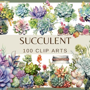 SUCULENTAS - 100 imágenes prediseñadas (300 dpi, uso comercial, paquete, digital, fondo transparente, floral, cactus, vegetación, floral)