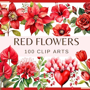 ROTE BLUMEN - 100 Clip Art (300 dpi, png, Hibiskus, Zinnie, Anemone, Dahlie, Nelke, Mohnblume, Bündel, Amaryllis, Tulpe Blumenrose)