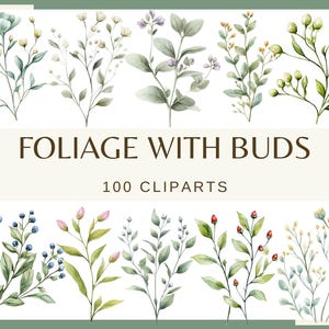 Feuillage avec bourgeons - 100 images clipart (300 dpi, lot png, numérique, nature, eucalyptus, feuilles d'arbre, verdure, fougère aquarelle)