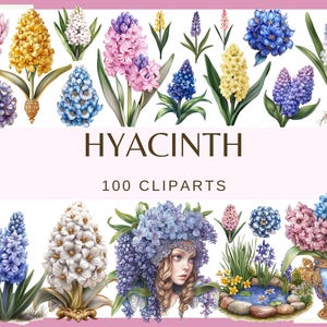 HIACYNT - 100 klipartów (300 dpi, kwiatowy, natura, ogród, hiacynt w wazonie, bukiet na ciasto, pakiet png wiosenny kwiat, dom wróżki, staw)