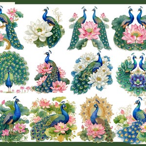 K&ouml;nnte beinhalten: Eine Sammlung von zw&ouml;lf digitalen Illustrationen mit Pfauen mit schillerndem blauem und gr&uuml;nem Gefieder, dargestellt neben rosa und wei&szlig;en Lotusbl&uuml;ten, gr&uuml;nen Seerosenbl&auml;ttern und verzierten goldenen Elementen auf wei&szlig;em Grund.