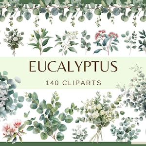 EUCALIPTO - 140 imágenes prediseñadas (vegetación, png, 300 dpi, marco de eucalipto, eucalipto en jarrón, patrón de borde sin costuras, digital, floral, follaje)