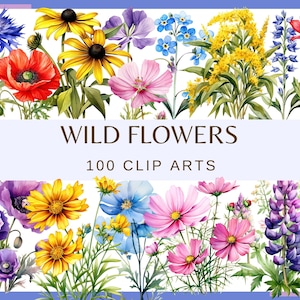 Puede incluir: Una colección de 100 imágenes de arte de clip de acuarela de varias flores silvestres, incluyendo campanillas, margaritas, cosmos y lupinos. Las flores están dispuestas en un ramo colorido sobre un fondo blanco. El texto "WILD FLOWERS 100 CLIP ARTS" se muestra debajo del ramo.