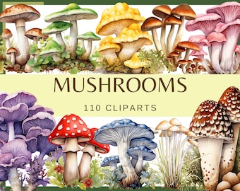 MUSHROOMS - 110 clip arts (300 dpi, png, White Button, Cremini, Portobello, Enoki, Maitake, Morel, Porcini, Chanterelle Black Trumpet Reishi