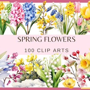 Op de afbeelding: Een verzameling van 100 aquarel-clipart-afbeeldingen van lentebloemen. De afbeeldingen tonen een verscheidenheid aan bloemen in tinten roze, blauw, geel en wit, waaronder hyacinten, narcissen, lelies en tulpen.